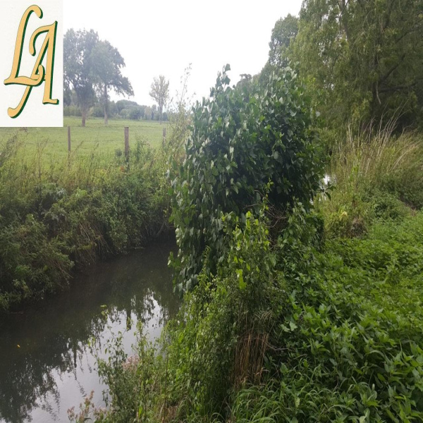 Offres de vente Terrain Pacy-sur-Eure 27120